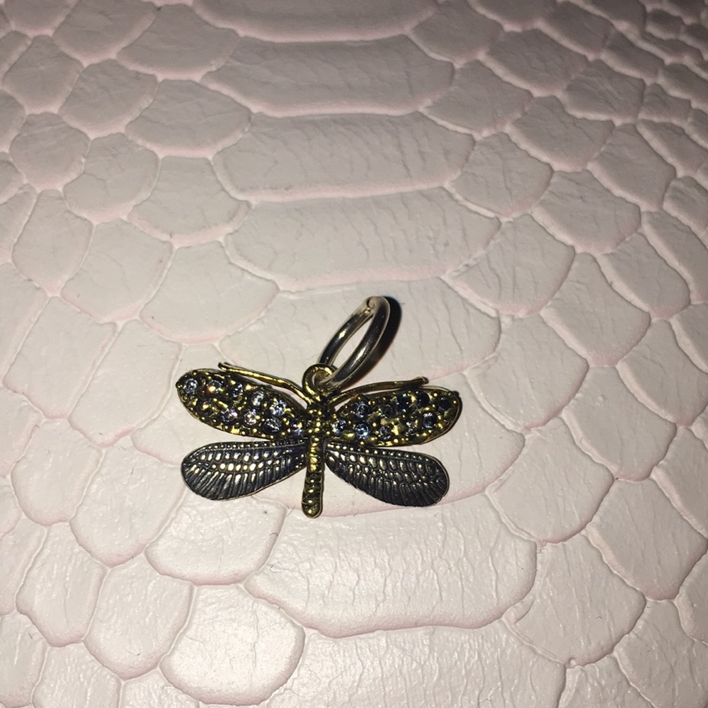 Waxing poetic dragonfly charm. NEW!